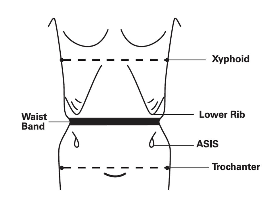 Diagram Horz Body Landmarks