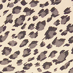 Small Leopard Skin