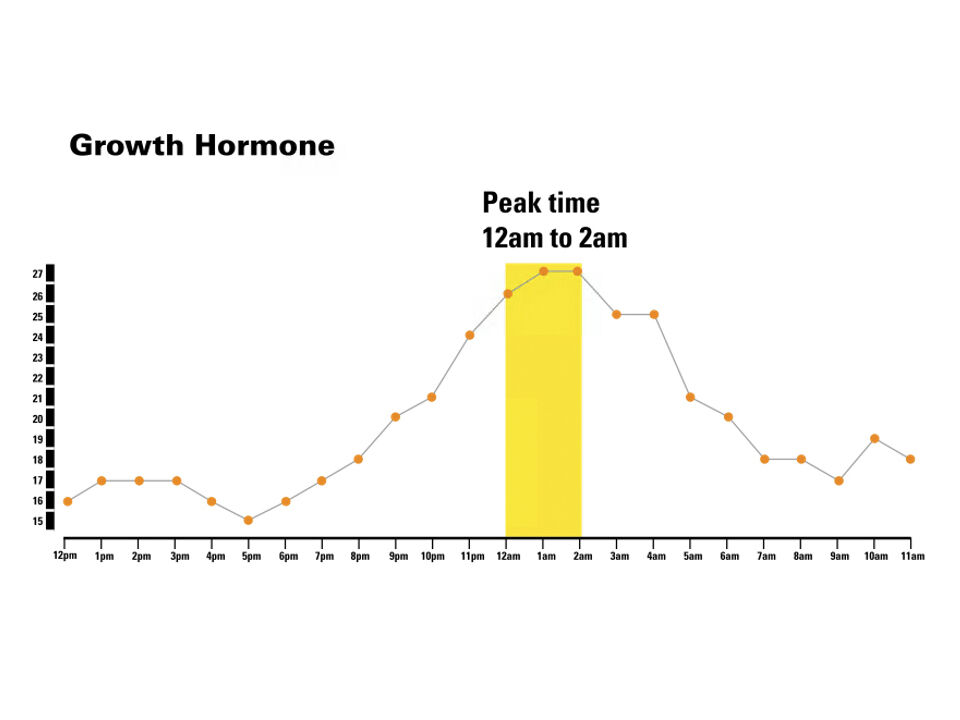 HGH Chart Peak times