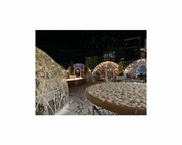 Christmas party image 1