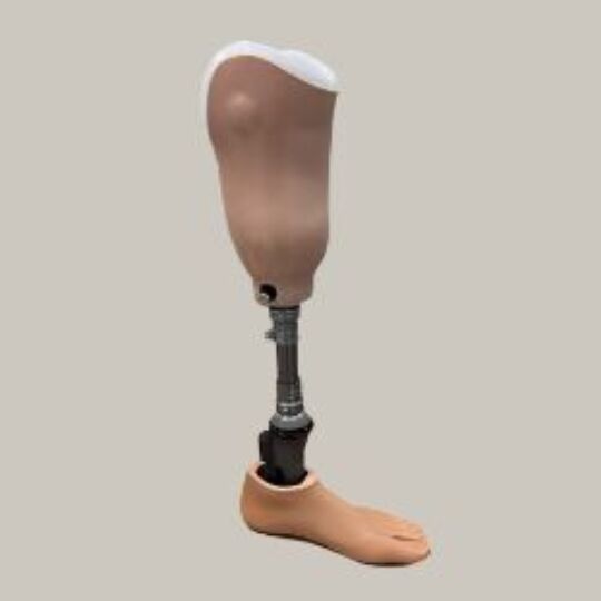 Custom Prosthetics