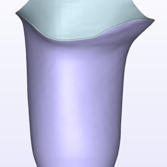 Mild IC Medial
