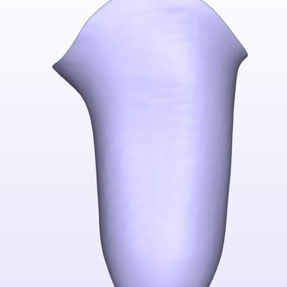 Moderate IC Lateral brochure