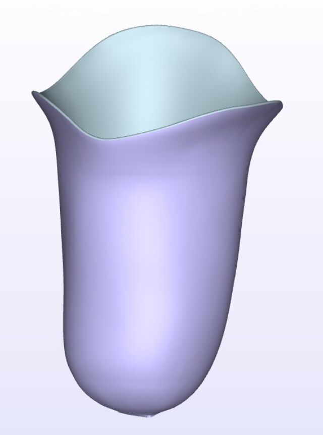 Soft Quad Medial