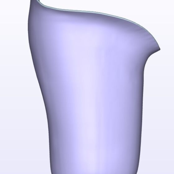 Canfit Quad Anterior