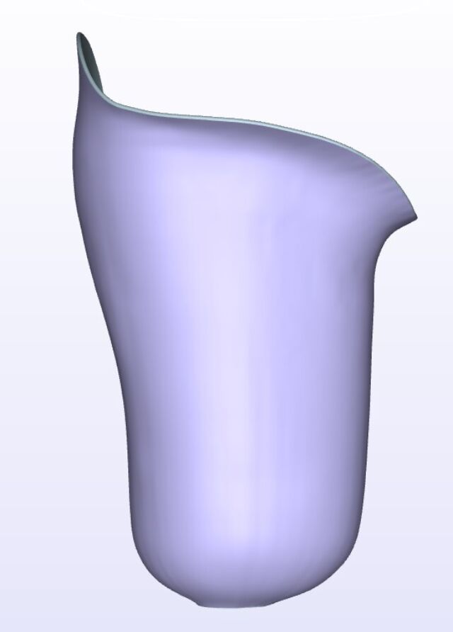 Canfit Quad Anterior