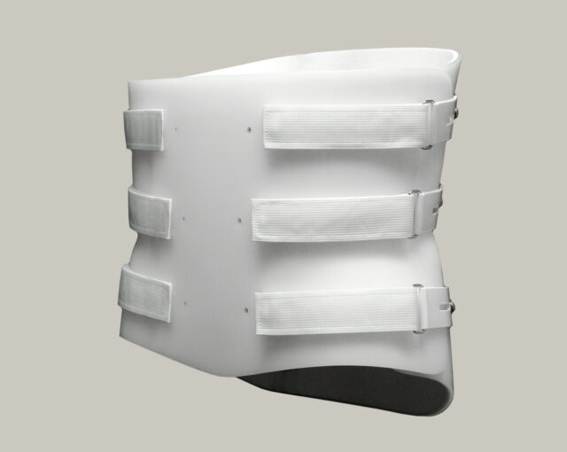 Prefab LSO Bivalve Horz