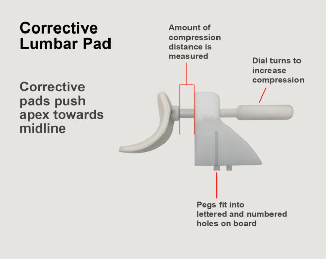 Corrective Lumbar Pad