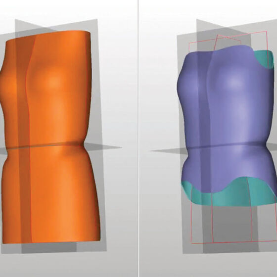 CAD display of body planes - Saggital, Coronal and Transverse