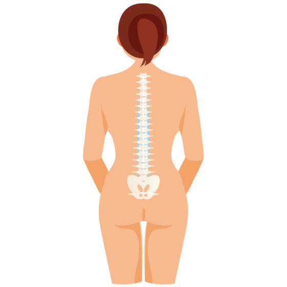 Healthy Spine
