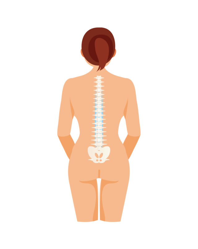 Healthy Spine