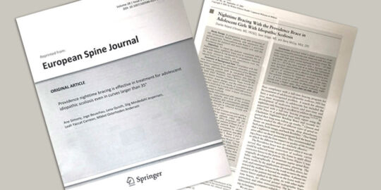 Prov Studies SEO Image