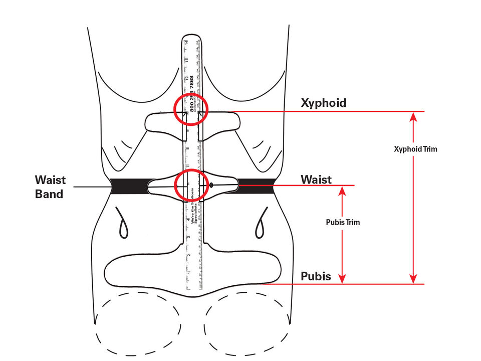 Sitting Xyphoid to Pubis and Waist to Pubis