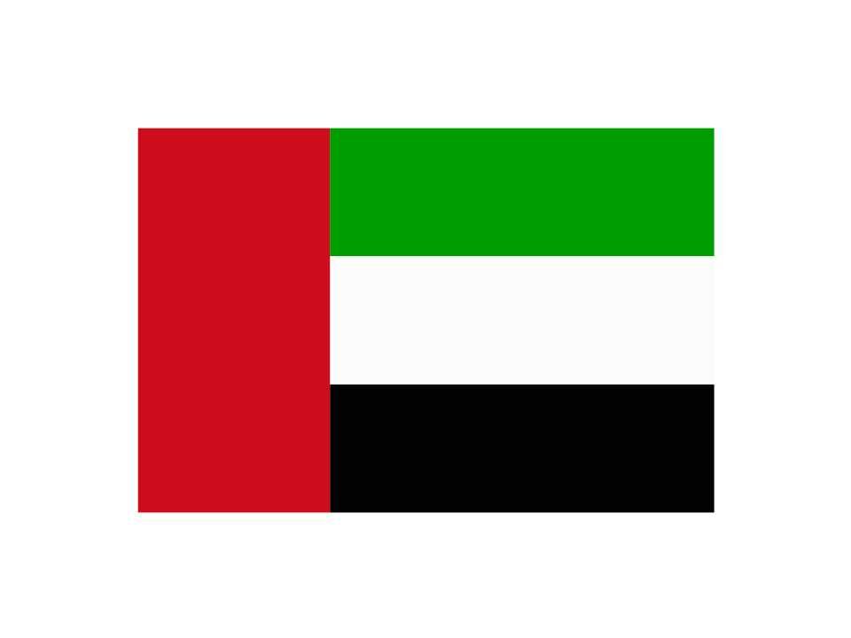 UAE Flag