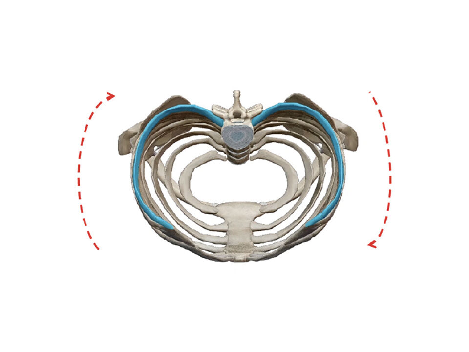 Spinal Technology | Orthotic Management of Adolescent Idiopathic…