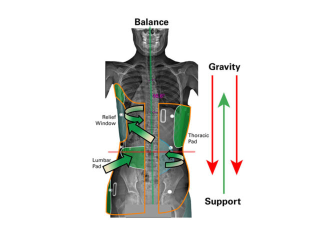 Gravity Graphic