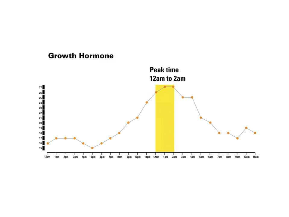 HGH Chart Small