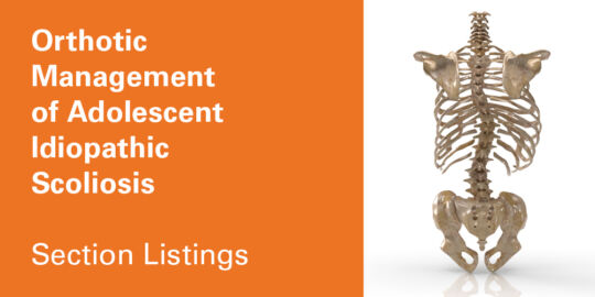 Ortho Management AIS Sections