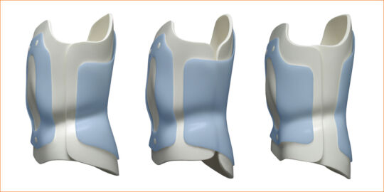 Flex Foam Bivalve Openings SEO Image