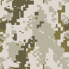 Desert Camo