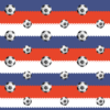 Soccer Balls RWB- Limited supply, please provide 2 choices
