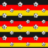 Soccer Balls Germany- Limited supply, please provide 2 choices