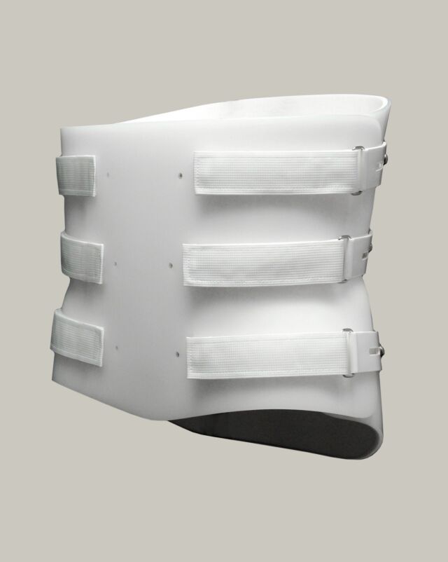 Finished LSO Bivalve