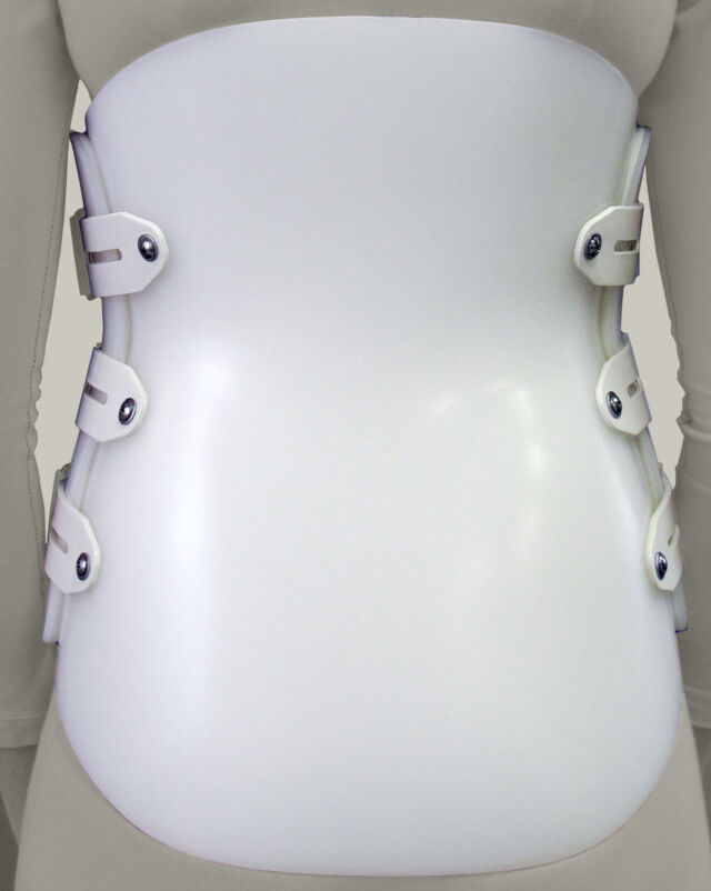 LSO - Bivalve Smooth Overlap - Posterior View
