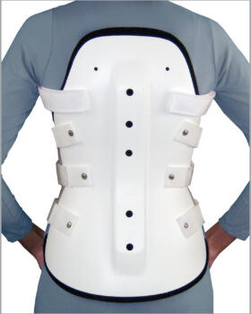 S.T.O.P. 3 - Posterior View with Sternal Shield - Female