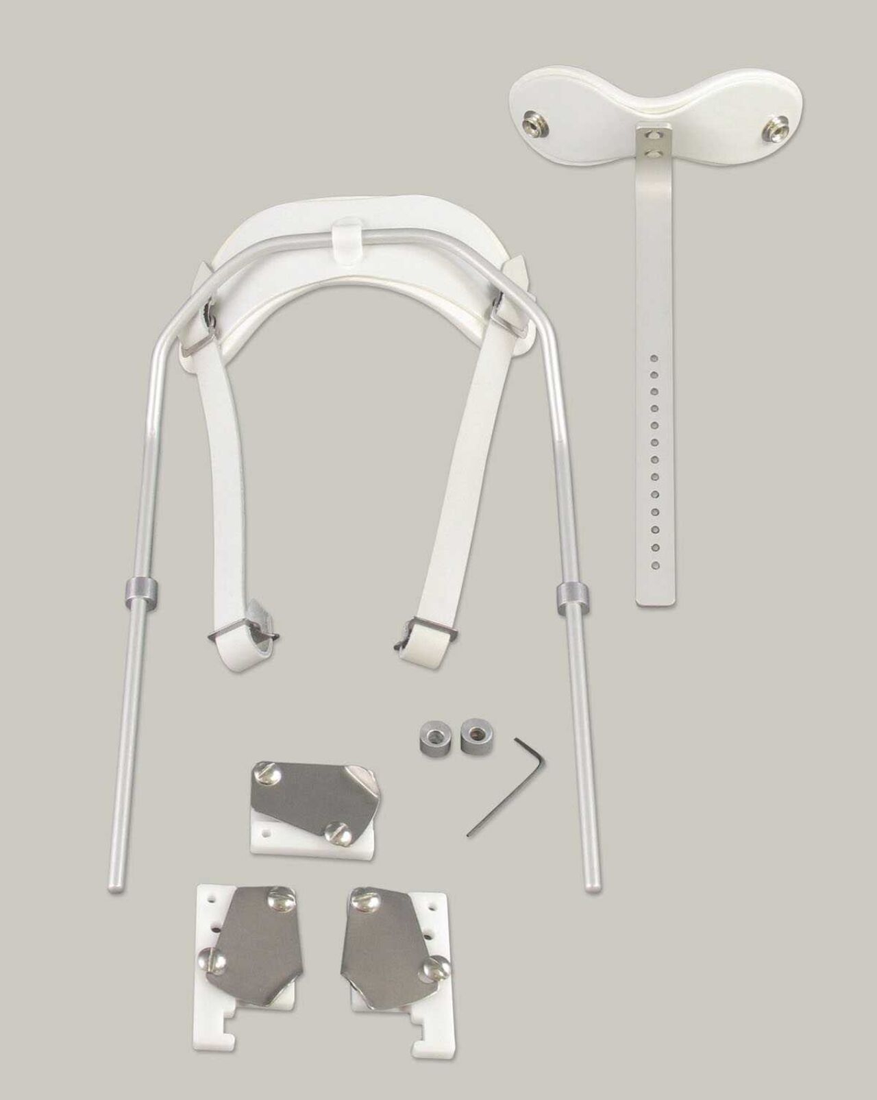 Spinal Technology | CTLSO - Bivalve