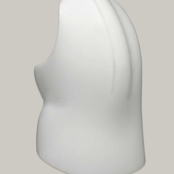 Spinous Process Relief