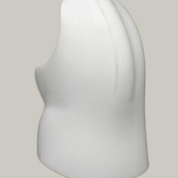 Spinous Process Relief