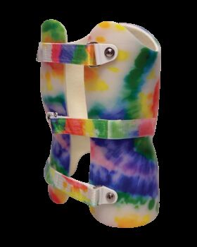 Posterior Lateral View