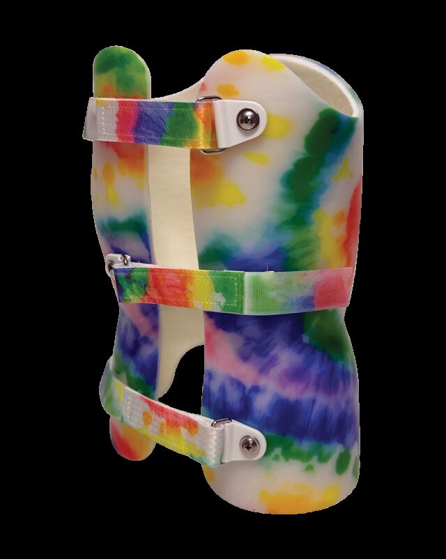 Posterior Lateral View