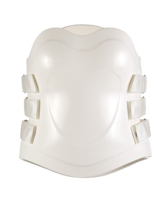 Flex Foam® 2 - Bivalve - Anterior View