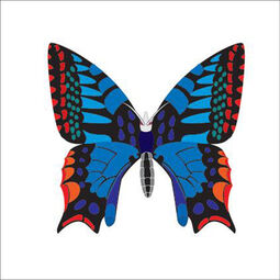 PT Butterfly2