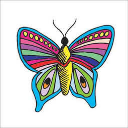 PT Butterfly3