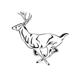 PT Deer