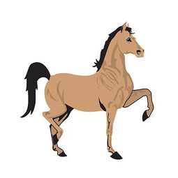 PT Horse