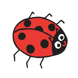 PT Ladybug
