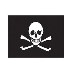 PT Pirate Flag