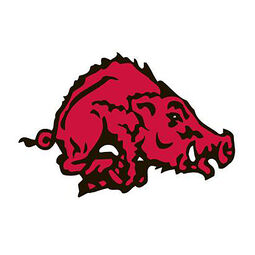 PT Razorback
