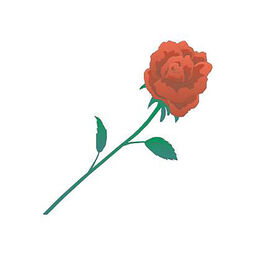 PT Rose