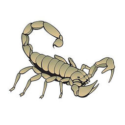 PT Scorpion