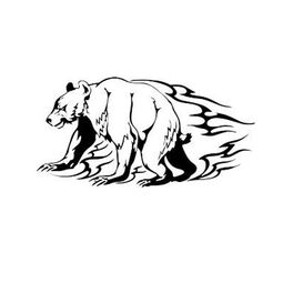 PT T Bear F