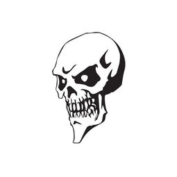 PT T Skulls1