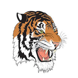 PT Tiger