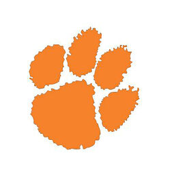 PT Tiger Paw