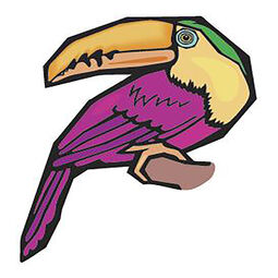 PT Toucan