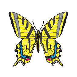 PT Butterfly1